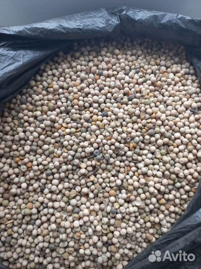 Пшеница,Ячмень,Кукуруза,Овес,Подсолнечник