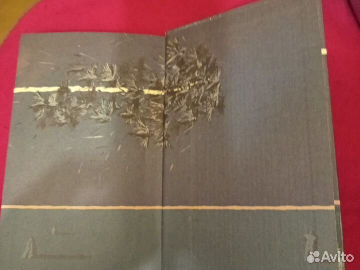 Роман Тамная половинна