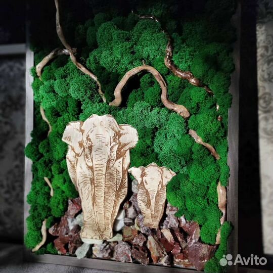 Картины из стабилизированного мха