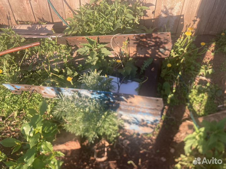 Полурама мтз