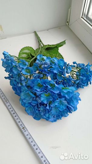 Декоративная гортензия