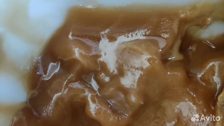 Горный дикий Алтайский мед