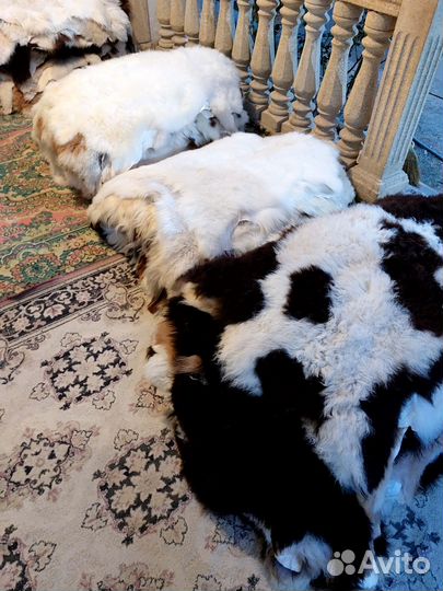 Шкурки овечьи оптом