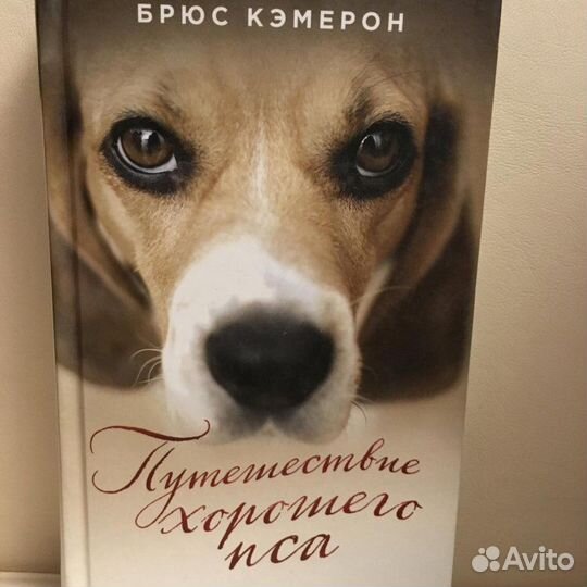 Книги про собак