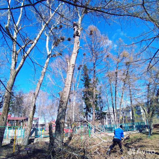 Высотные работы,спил деревьев,покос травы