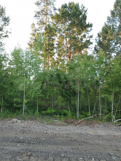 Участок 12 сот. (СНТ, ДНП)