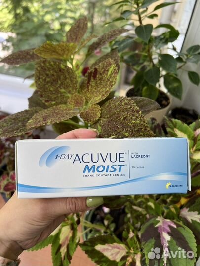 Контактные линзы 1-Day Acuvue Moist -5,5
