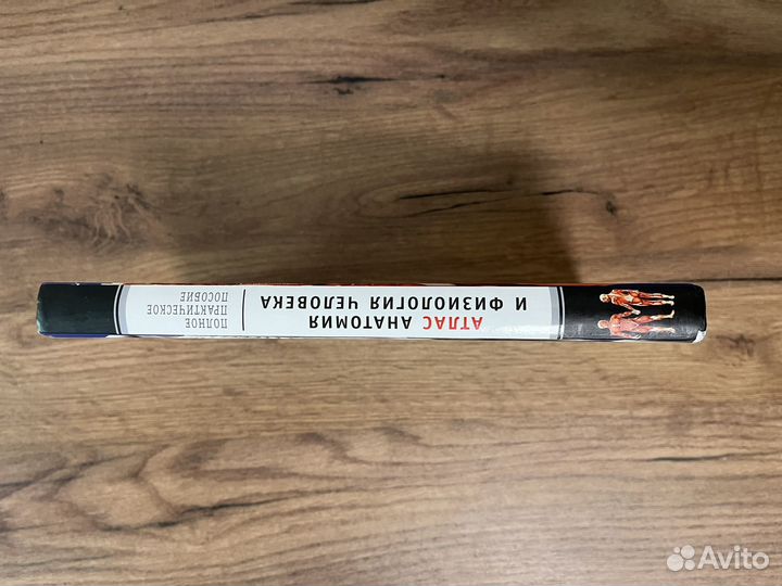 Книга анатомия человека