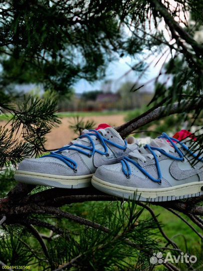 Стильные Nike Dunk Off White для мужских ног