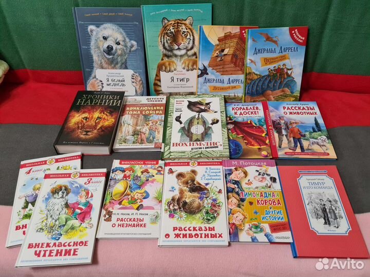 Книги для младшей школы