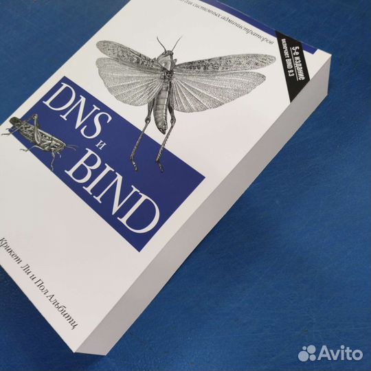 DNS и BIND