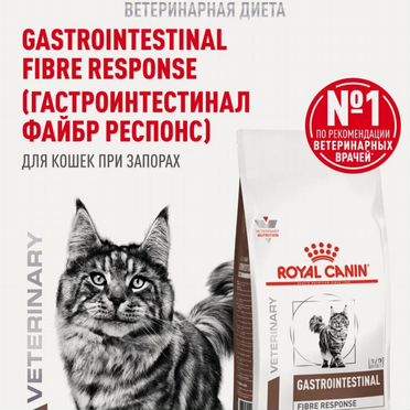 Корм для кошек