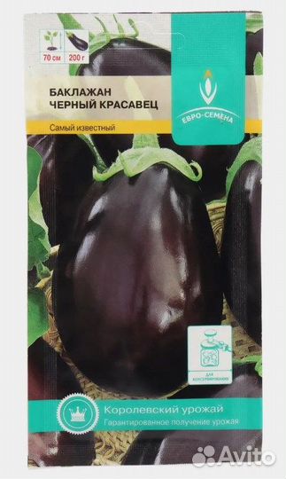 Рассада баклажан