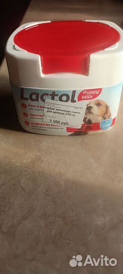 Корм для собак