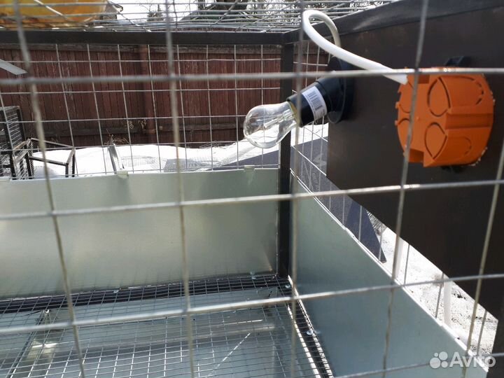 Клетка брудер для молодняка птиц