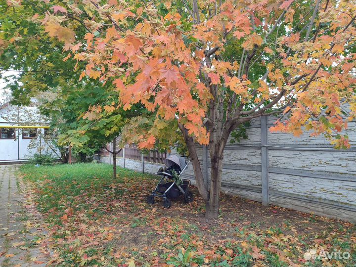 Коляска 2 в 1 Uppa baby vista