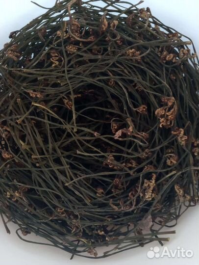 Папоротник Орляк