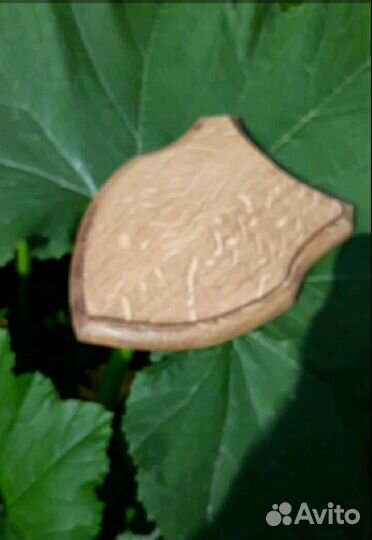 Медальон охотничий (доска), для рогов, трофеев