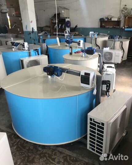 Охладитель молока лучше вёдер с бутылками