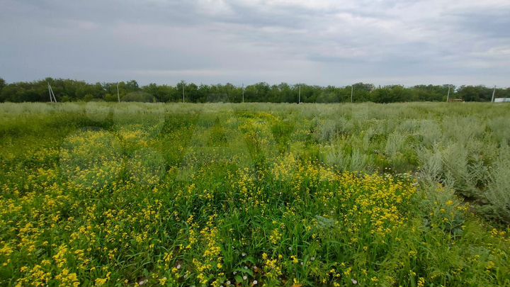 Участок 8,1 сот. (СНТ, ДНП)