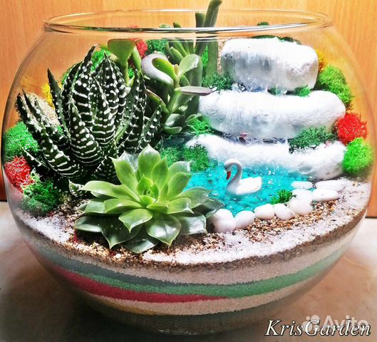 Флорариум подарок