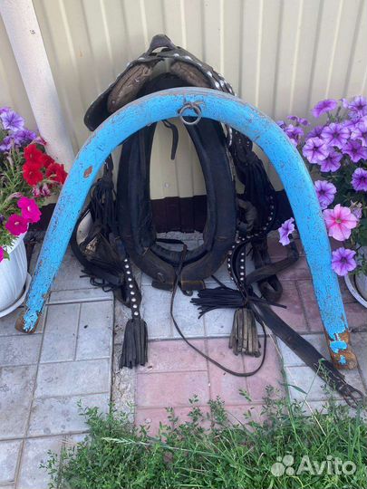 Сбруя для лошади