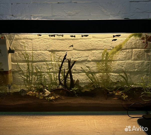 Продается аквариум 100л