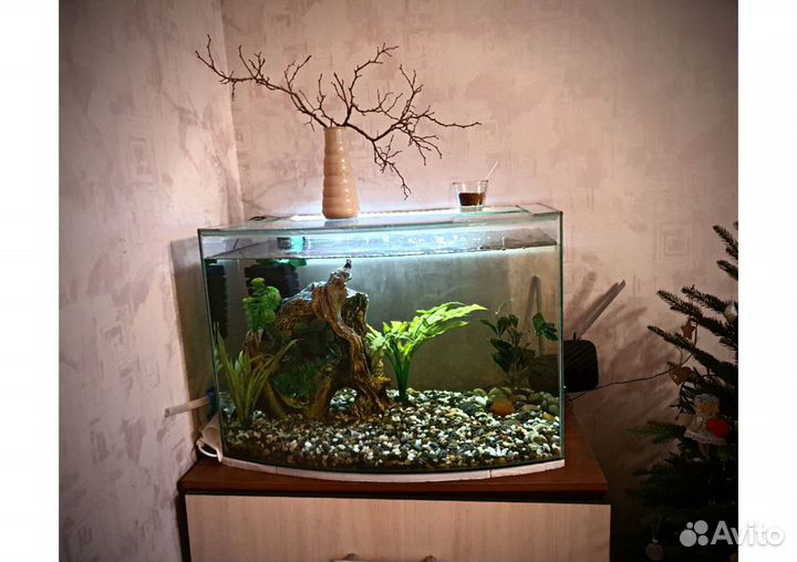 Аквариум панорамный