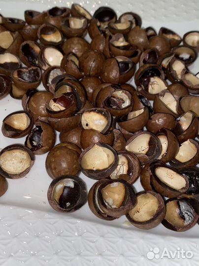 Скорлупа ореха макадамия