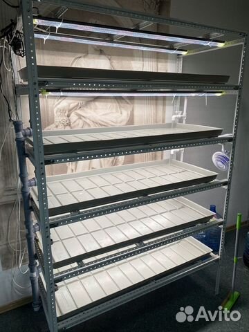 Готовый стеллаж для микрозелени гидропоника купить в Петрозаводске ...