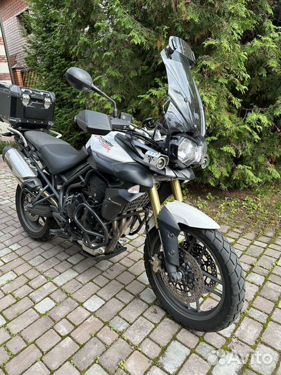 Triumph tiger 800
