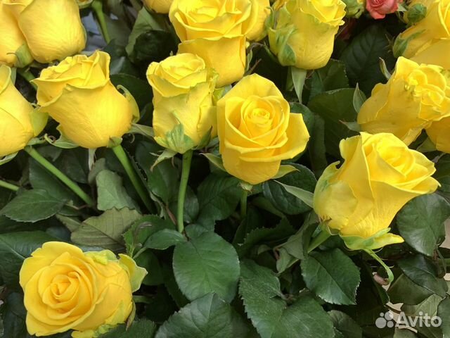 Желтые розы Доставка цветов
