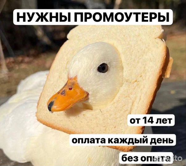 Промоутер от 14 лет