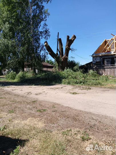 Спил деревьев с вывозом, измельчение