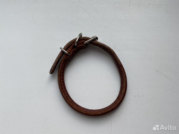 Ошейник для маленькой собаки