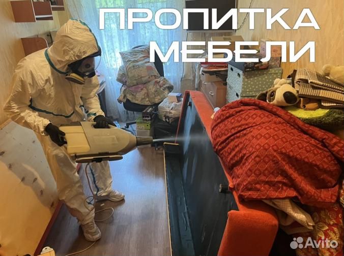 Уничтожение клопов, травить тараканов. Дезинфекция