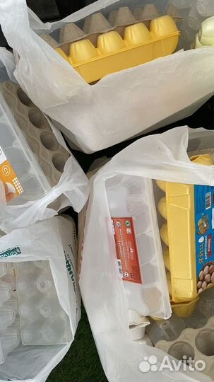 Ячейки для яиц бесплатно