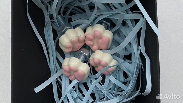 Былты номерного знака (лапки)