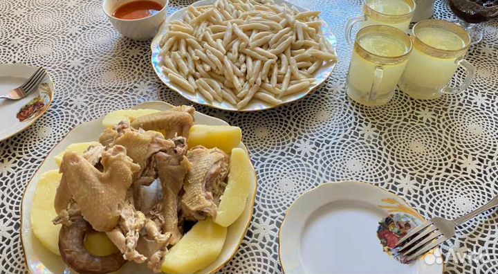 Куры домашние