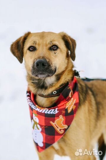 Озорная девочка Рейчел