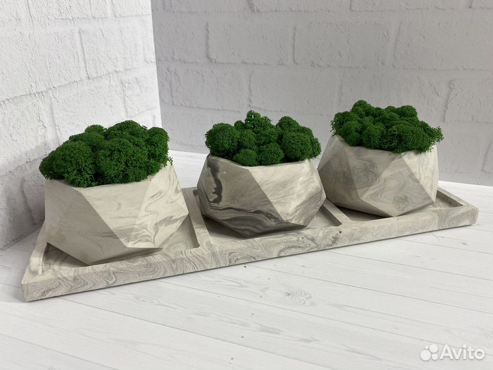 Гипсовое кашпо со стабилизированным мхом 