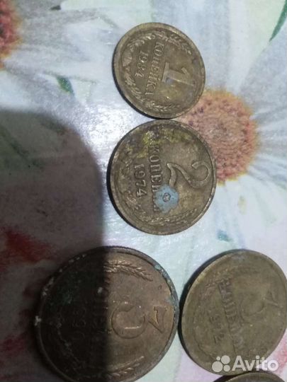 Коллекционирование