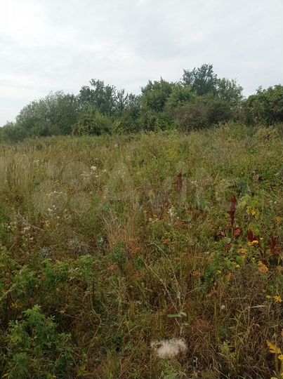 Участок 11,6 сот. (ИЖС)