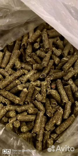 Корм для шиншилл