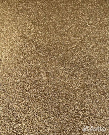 Зерно ячмень