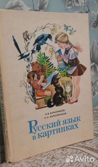 Русский язык в картинках. И.В. Баранников
