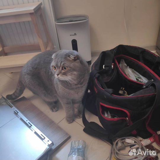 Ремонт стиральных машин Ремонт холодильников