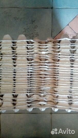 Ячейки для яиц картонные