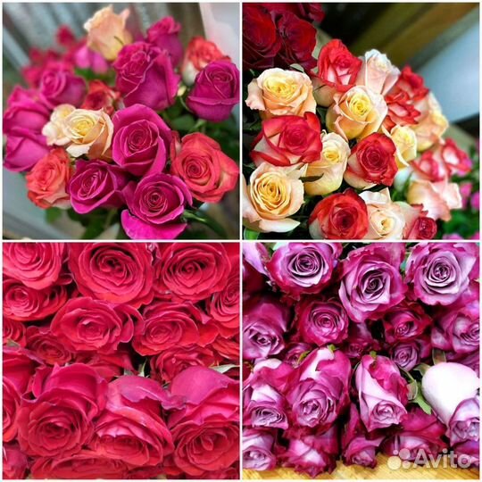 Цветы, Розы, хризантемы, Доставка