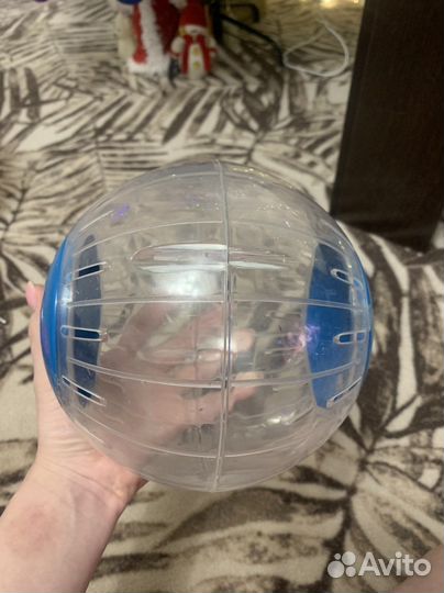 Прогулочный шар для грызунов